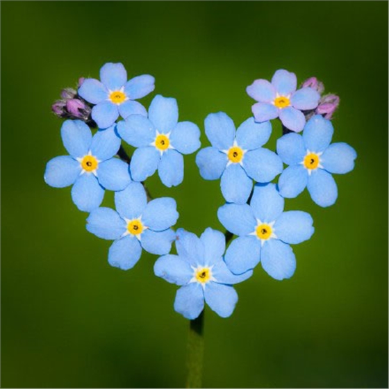 69cca5e3jw1eja1h2hz2ej20ri0rigr6.jpg 69cca5e3jw1eja1h2hz2ej20ri0rigr6.jpg