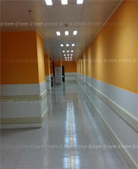 廣州市南豐朗豪酒店7防撞護墻板.jpg 廣州市南豐朗豪酒店7防撞護墻板.jpg