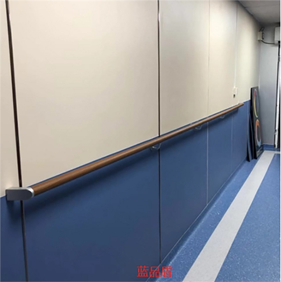 醫(yī)院走廊無(wú)障礙扶手 醫(yī)院走廊無(wú)障礙扶手