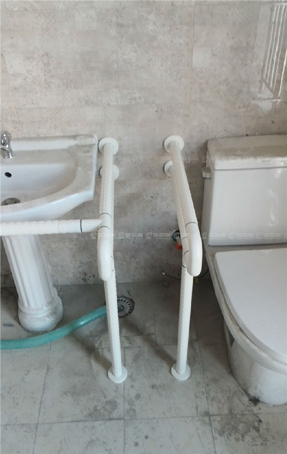 山東濰坊市虞河壹號(hào)商務(wù)大廈廁所扶手1.jpg 山東濰坊市虞河壹號(hào)商務(wù)大廈廁所扶手1.jpg