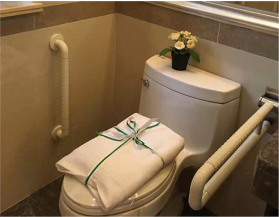 衛(wèi)生間安全扶手 衛(wèi)生間安全扶手