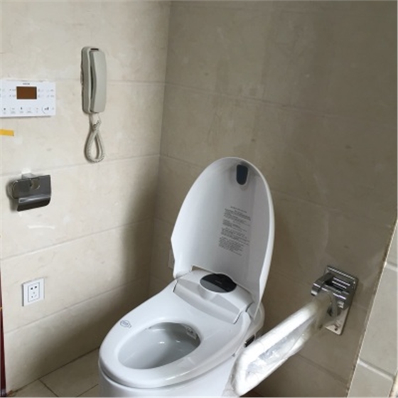 坐便器旁邊墻上扶手.jpg 坐便器旁邊墻上扶手.jpg