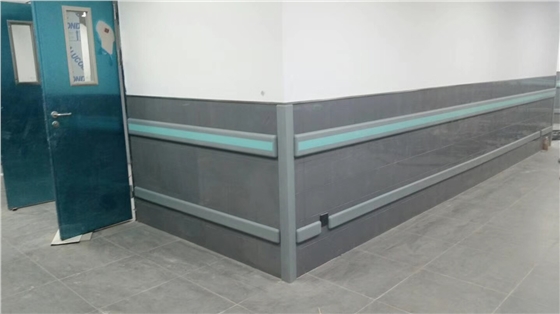 醫(yī)院大門防撞帶 醫(yī)院大門防撞帶