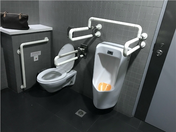 衛(wèi)生間扶手 衛(wèi)生間扶手