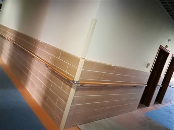 病房走廊專用扶手 病房走廊專用扶手