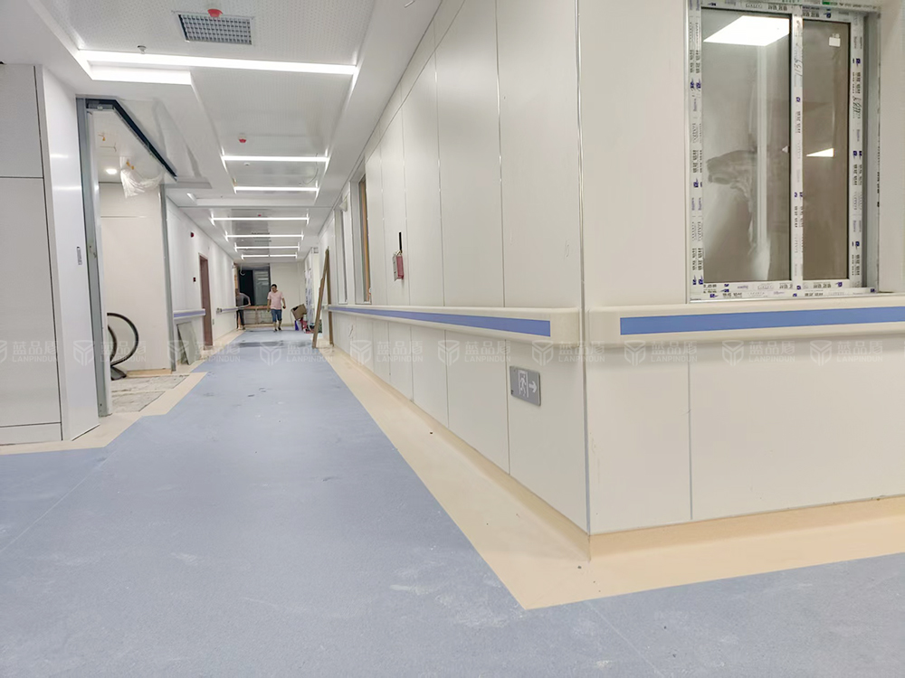 為【貴州】榕江縣人民醫(yī)院供貨防撞扶手-藍(lán)品盾